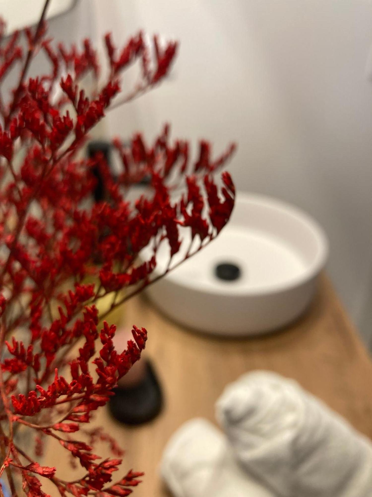 Apartamentos Abadia. Corella Zewnętrze zdjęcie